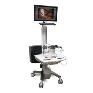 simulador para cirurgia minimamente invasiva