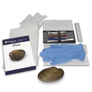 simulador de dissecção 1