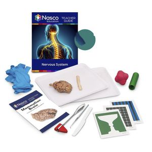 simulador de dissecção 1