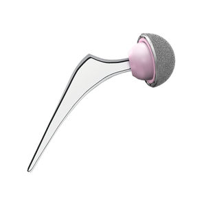 haste femoral cimentada