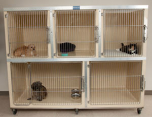 gaiola veterinária para gatos