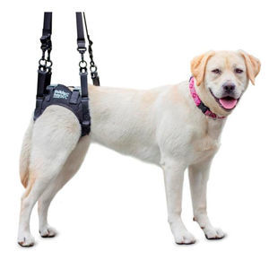 suporte de peso corporal para marcha