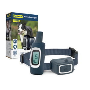 colar elizabetano para cães 1