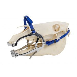 espéculo veterinário odontológico 1