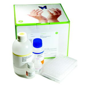 kit de reagentes para purificação de DNA