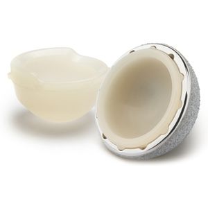 prótese acetabular não cimentada