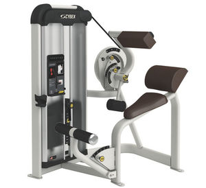 aparelho de musculação extensão das costas 1