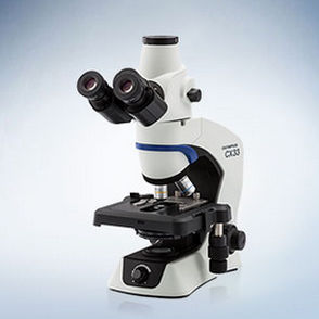 microscópio óptico