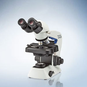 microscópio óptico