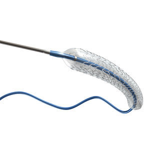 stent coronário 1