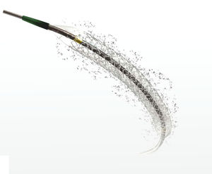 stent coronário