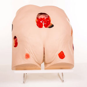 modelo anatômico lombo-sacral