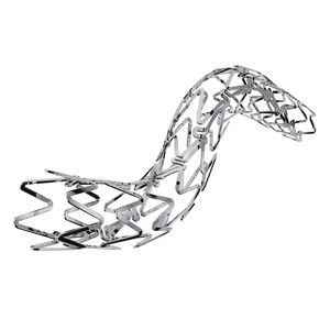 stent coronário 1