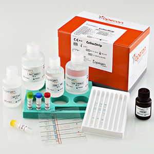 kit de teste de doença celíaca
