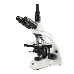 microscópio óptico