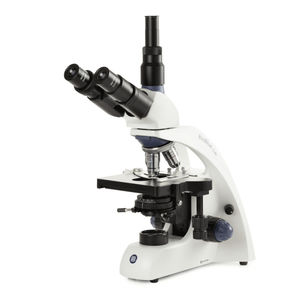 microscópio óptico