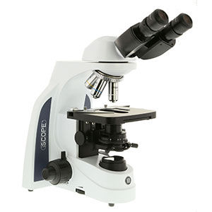 microscópio óptico