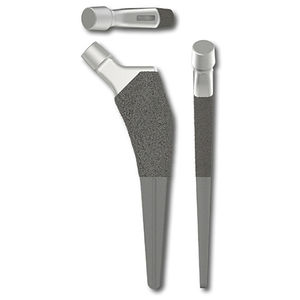 haste femoral não cimentada