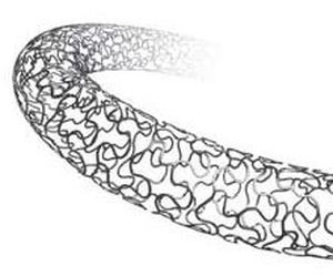 stent para artéria coronária / em aço inox
