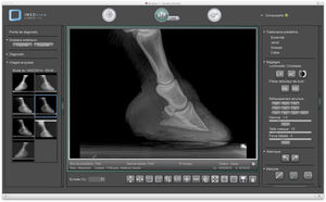 software para radiologia veterinária