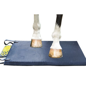 unidade de magnetoterapia de uso veterinário / para equídeos / colchão