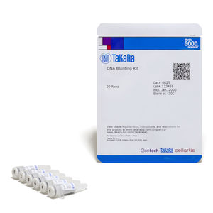 kit de reagentes DNA polimerase