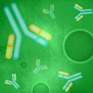 kit de reagentes anticorpo monoclonal