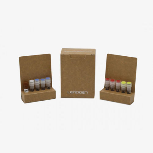 Kit de reagentes em solução - SLAMseq - lexogen - NGS / para sequenciamento de RNA de célula única / para síntese de RNA