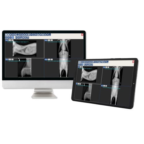 PACS para exames de imagem - JPI Healthcare Solutions - veterinário