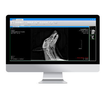 PACS para exames de imagem - ExamVue  - JPI Healthcare Solutions - veterinário