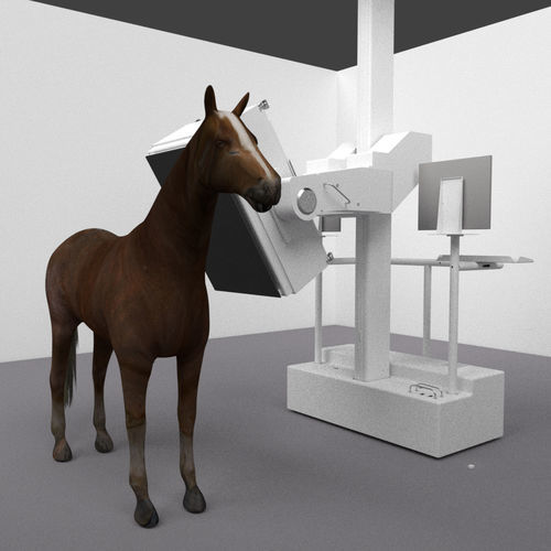 Tomógrafo computadorizado veterinário para equídeos - MIE