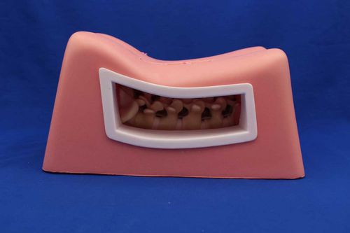 Simulador para treinamento - MISPIN - Créaplast - para cirurgia minimamente invasiva / para cirurgia da coluna vertebral / de torso