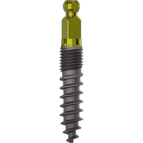 Implante dentário cônico - 2016 - Champions Implants GmbH - em titânio / bola / reto