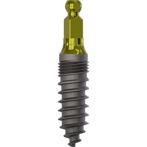 Implante dentário cônico - 2025 - Champions Implants GmbH - em titânio / bola / reto