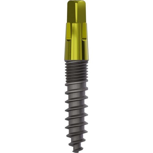 Implante dentário cônico - 1040 - Champions Implants GmbH - em titânio / quadrado / reto
