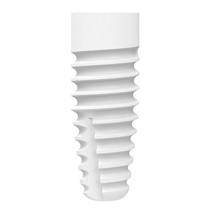 Implante dentário cilíndrico - ZERAMEX® XT  - Dentalpoint AG - em cerâmica / em dióxido de zircônio / interno