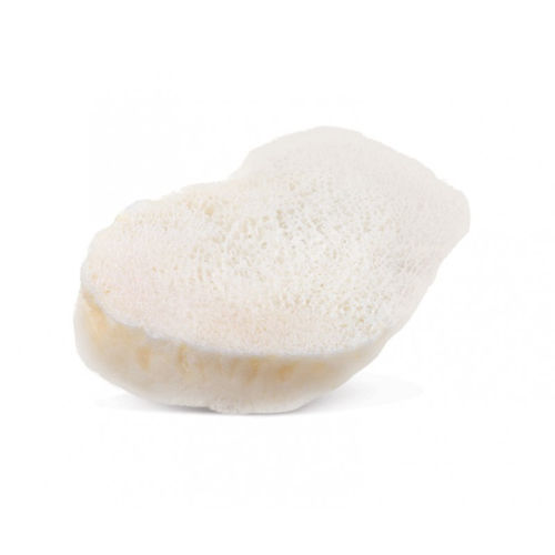 Aloenxerto ósseo - AlloWedge® - RTI Surgical - para cirurgia ortopédica / rígido