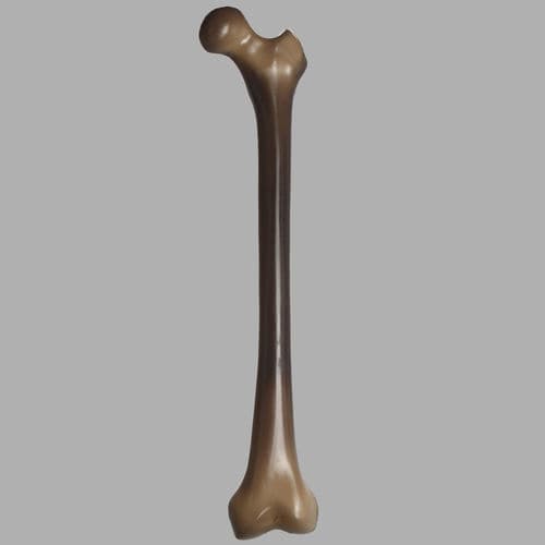 Modelo de osso - 3403 - Sawbones/Pacific Research Labs - de fêmur / para ensino / para testes biomecânicos