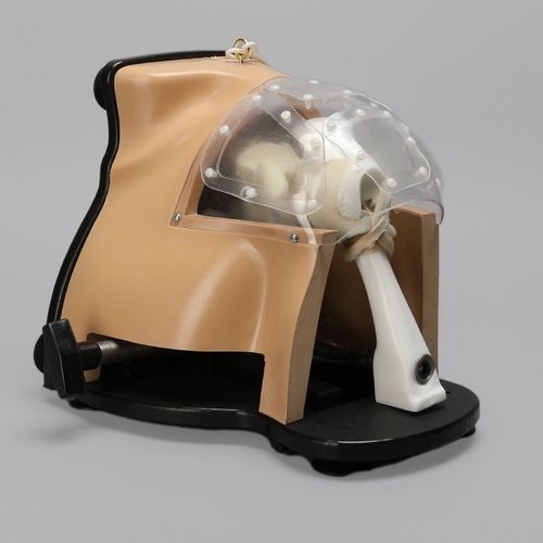 Simulador para treinamento - Alex III - Sawbones/Pacific Research Labs - de artroscopia / de anatomia / de ombro