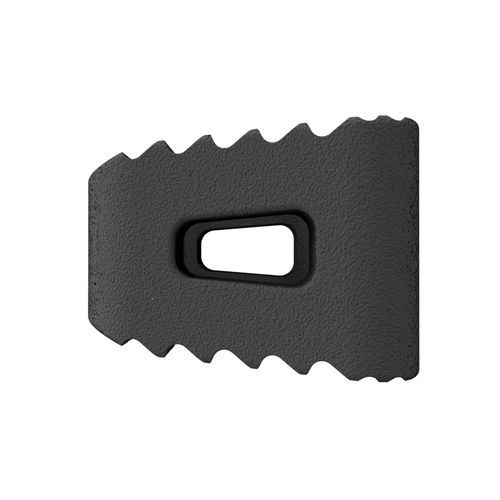 Espaçador intervertebral cervical - MATISSE NITRO™ - CTL Medical Corporation - via anterior
