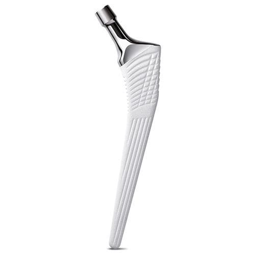 Haste femoral de revisão - CINEOS® H - X-NOV Medical Technology - não cimentada