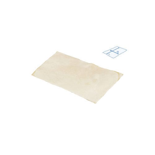 Substituto de dura-máter aloenxerto - SteriGraft®  - Bone Bank Allografts