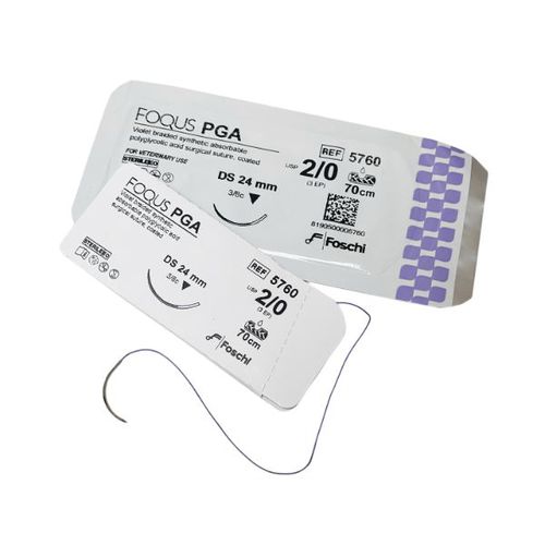 Fio de sutura absorvível - Foqus PGA  - Foschi - para cirurgia geral / para cirurgia veterinária