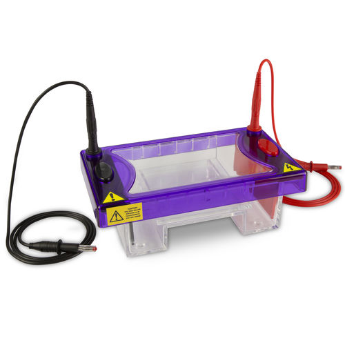 Sistema de eletroforese para PCR - MSMIDI series - Cleaver Scientific - horizontal / de bancada