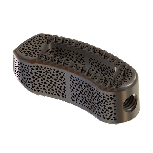 Espaçador intervertebral lombar - TERRACOTTA TLIF - Osimplant - via transforaminal / em titânio