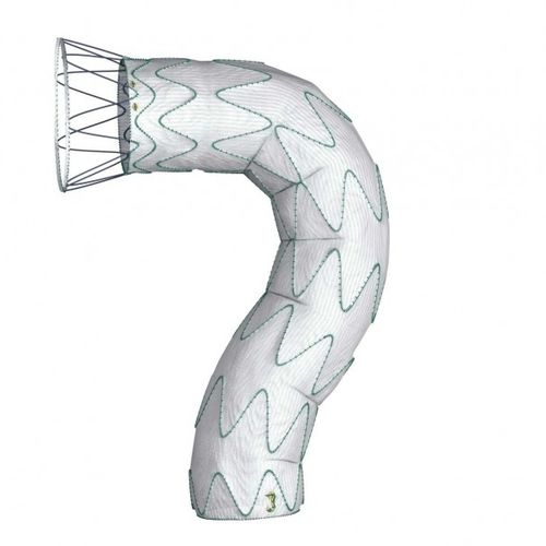 Stent-enxerto de aorta torácica - DOMINUS® - Braile Biomedica - em poliéster
