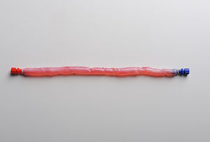 Bioprótese vascular de veia femoral - CryoVein®  - Cryolife - aloenxerto