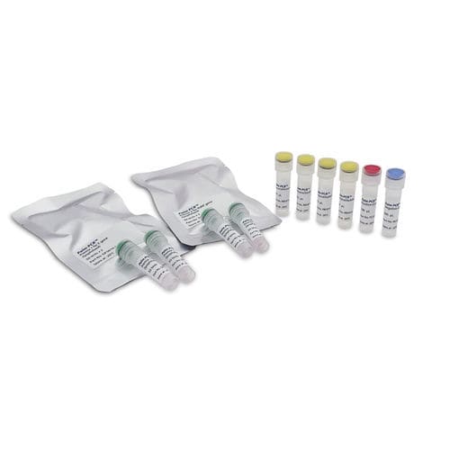 Kit de teste de COVID-19 - Palm PCR™ - Ahram Biosystems, Inc. - de SARS-COV-2 / em tempo real