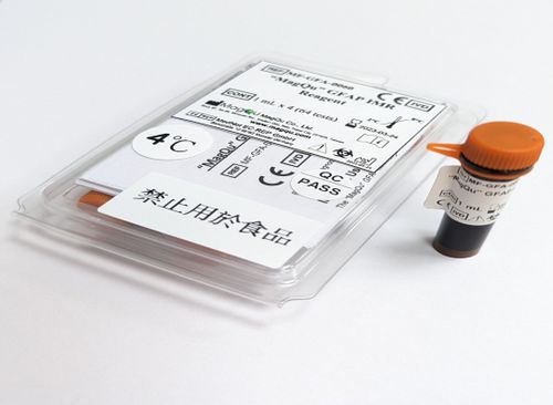Reagente anticorpos - MF-GFA-0060 - MagQu Co., Ltd. - para pesquisa / de diagnóstico / de proteínas