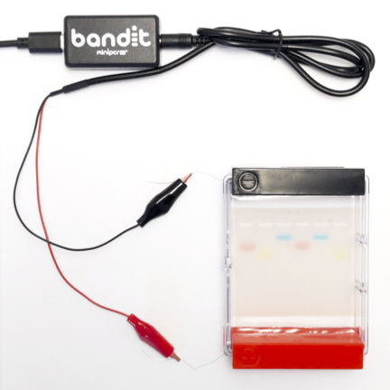 Sistema de eletroforese para DNA - Bandit™ - Amplyus - portátil